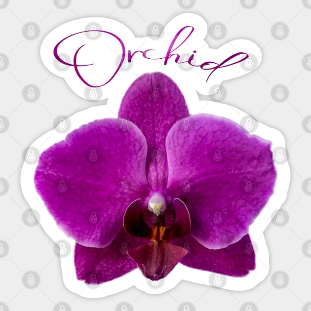 Purple Orchid and Text Sticker by ArtMorfic